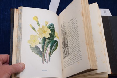 Lot 224 - F Edward Hulme (1841-1909) 'Familiar Wild Flowers' Cassell botanical books