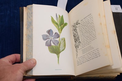 Lot 224 - F Edward Hulme (1841-1909) 'Familiar Wild Flowers' Cassell botanical books