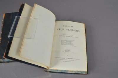 Lot 224 - F Edward Hulme (1841-1909) 'Familiar Wild Flowers' Cassell botanical books