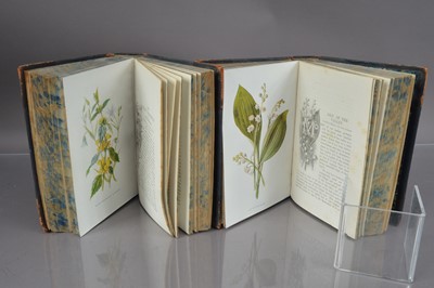 Lot 224 - F Edward Hulme (1841-1909) 'Familiar Wild Flowers' Cassell botanical books