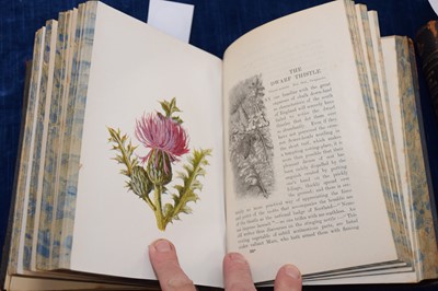 Lot 224 - F Edward Hulme (1841-1909) 'Familiar Wild Flowers' Cassell botanical books