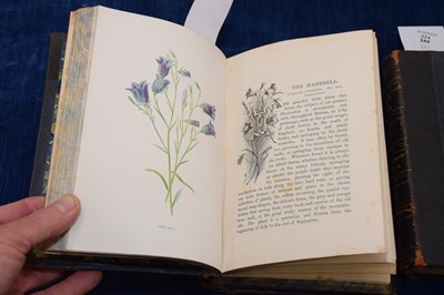Lot 224 - F Edward Hulme (1841-1909) 'Familiar Wild Flowers' Cassell botanical books