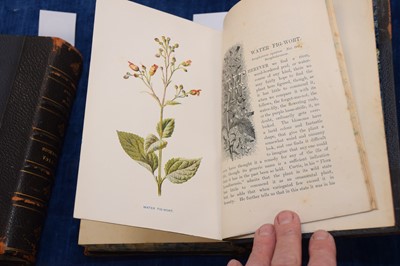 Lot 224 - F Edward Hulme (1841-1909) 'Familiar Wild Flowers' Cassell botanical books