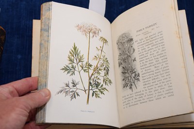 Lot 224 - F Edward Hulme (1841-1909) 'Familiar Wild Flowers' Cassell botanical books