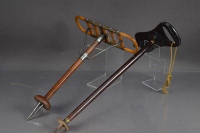 Lot 293 - An unusual pair of late 19th-Early 20th Century shooting sticks