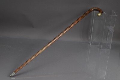 Lot 294 - An unusual snakeskin leather covered walking stick