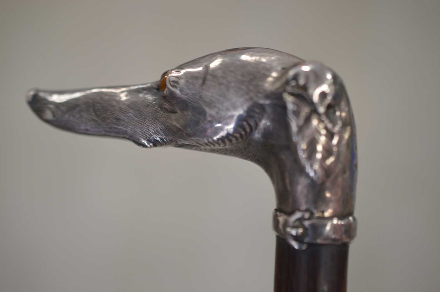 Lot 295 - An early cinema associated fine antique English silver mounted whippet or greyhound head walking cane