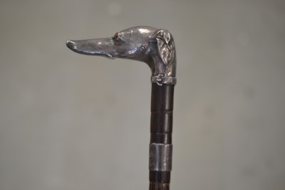 Lot 295 - An early cinema associated fine antique English silver mounted whippet or greyhound head walking cane