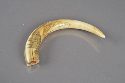 Lot 316 - A Japanese carved boar's tusk