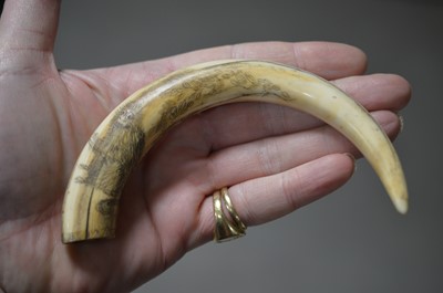 Lot 316 - A Japanese carved boar's tusk