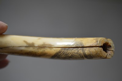 Lot 316 - A Japanese carved boar's tusk