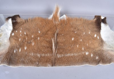 Lot 399 - A Bush Buck Back skin