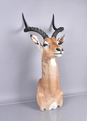 Lot 400 - A head mount of an African Impala