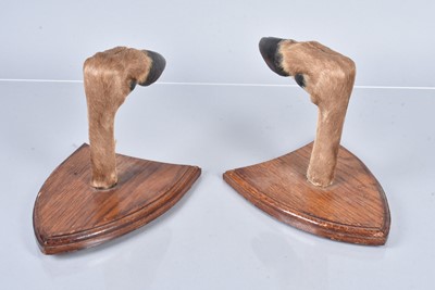 Lot 402 - A pair of French Red Deer Hoof Wall hangers