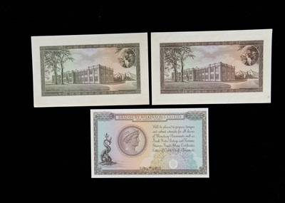 Lot 298 - A collection of three Bradbury Wilkinson and Co Ltd Advertizing Banknotes