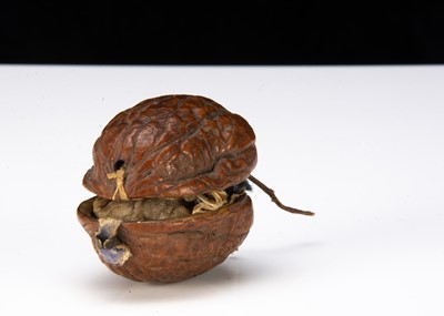 Lot 327 - A rare 19th century china Frozen Charlotte in a walnut shell