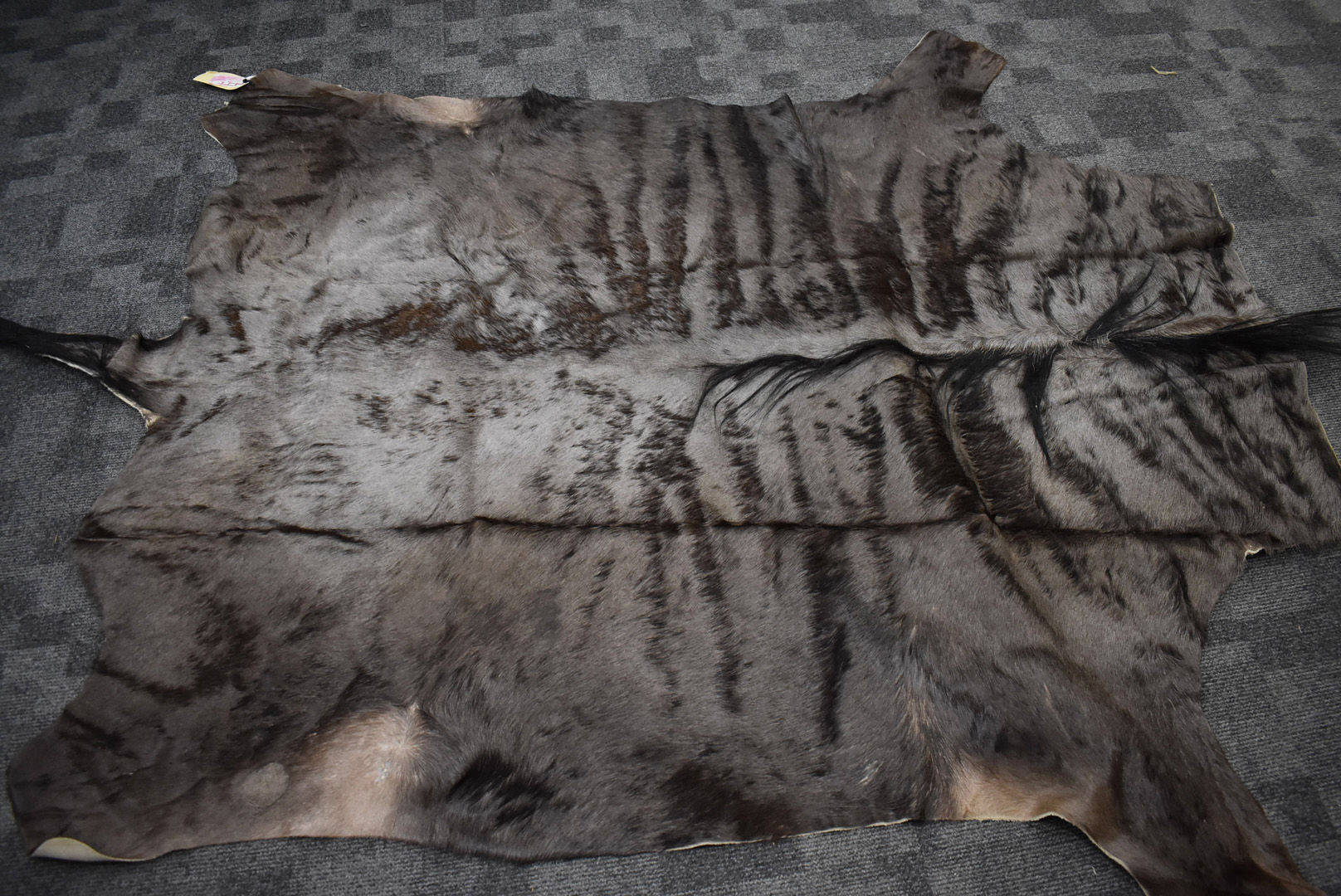 Lot 397 - A Blue Wildebeest flat skin,