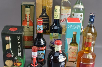 Lot 65 - Twelve various liqueurs