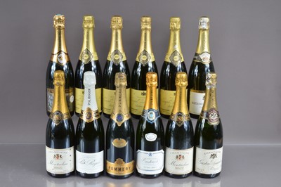 Lot 75 - Twelve bottles of various champagnes
