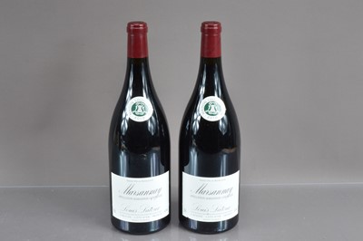 Lot 81 - Two magnums of Marsannay AOC 2010
