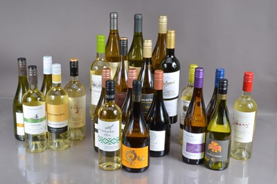 Lot 194 - Twenty two bottles of Chilean and Argentinian white wine