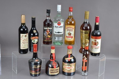 Lot 204 - Eleven various bottles of spirits including 1litre of Cockspur spiced rum