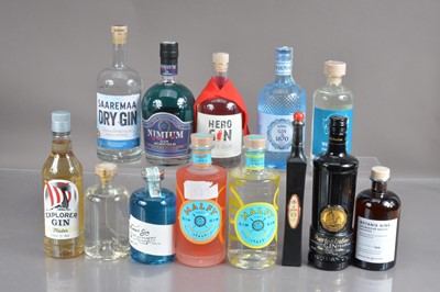 Lot 220 - Thirteen bottles of qulity artiszan gin