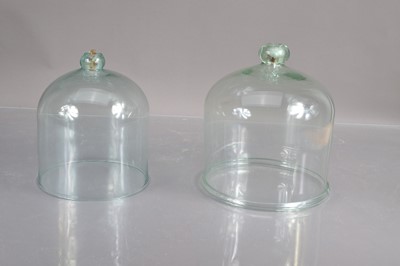 Lot 312 - Two 19th Century Victorian hand-blown glass domes