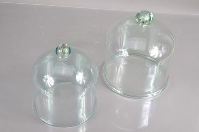Lot 312 - Two 19th Century Victorian hand-blown glass domes