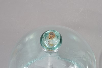Lot 312 - Two 19th Century Victorian hand-blown glass domes