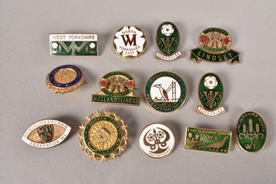 Lot 281 - An assortment of Women's Institute enamel pin badges