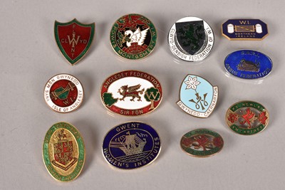 Lot 284 - An assortment of Women's Institute enamel pin badges