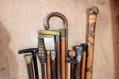 Lot 341 - An assortment of various walking sticks and canes