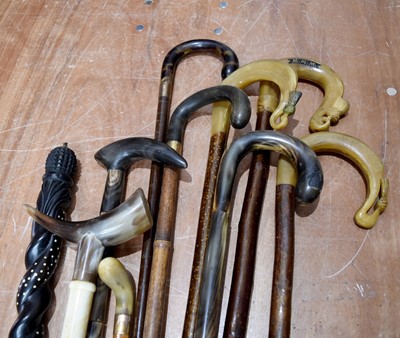 Lot 343 - A collection of horn handled walking sticks