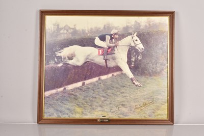 Lot 497 - Horse Racing