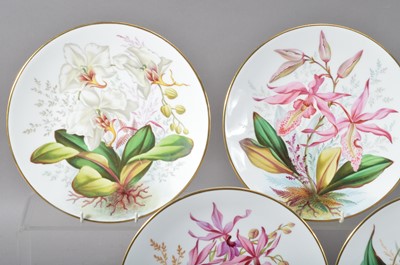 Lot 85 - Six late 19th century Davenport hand painted botanical plates