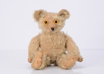 Lot 251 - A1920s German musical  teddy bear, probably Moritz Pappe