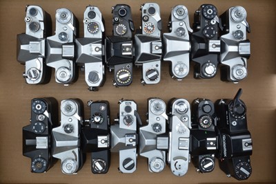 Lot 7 - A Tray of SLR Camera Bodies