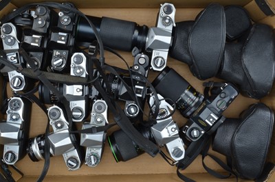 Lot 8 - A Tray of SLR Cameras