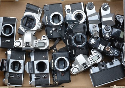 Lot 469 - A Tray of SLR Camera Bodies