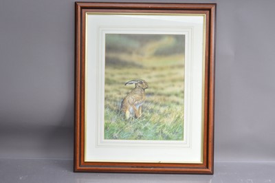 Lot 276 - Michael Demain (British b 1958) "Hare"