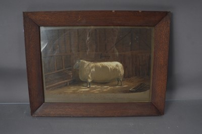 Lot 294 - A 19th Century Victorian English Folk-Art painting of a prize sheep