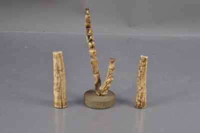 Lot 364 - Two Toba Batak tribal art divination tusks