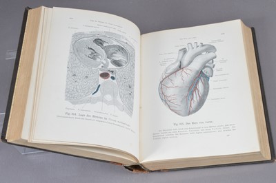 Lot 512 - Illustrated human anatomy - Heitzmann, Dr. Carl "Atlas der deskriptiven Anatomie des Menschen"