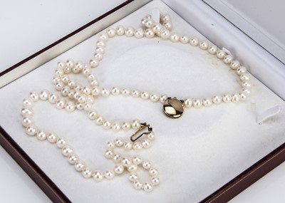 Lot 161 - A double row of knotted strung fresh water pearls