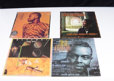 Lot 217 - Reggae / Hip Hop / Dub LPs