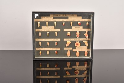 Lot 138 - A Waxwork 'Diseases of the Teeth' display