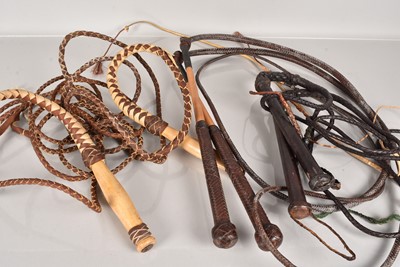 Lot 356 - Three pairs of Bullwhips