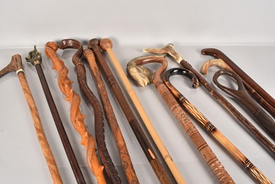 Lot 373 - A collection of walking sticks and canes