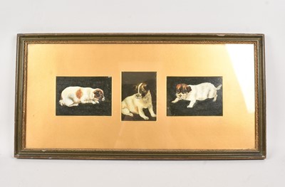 Lot 261 - Three oil paintings of a small dog